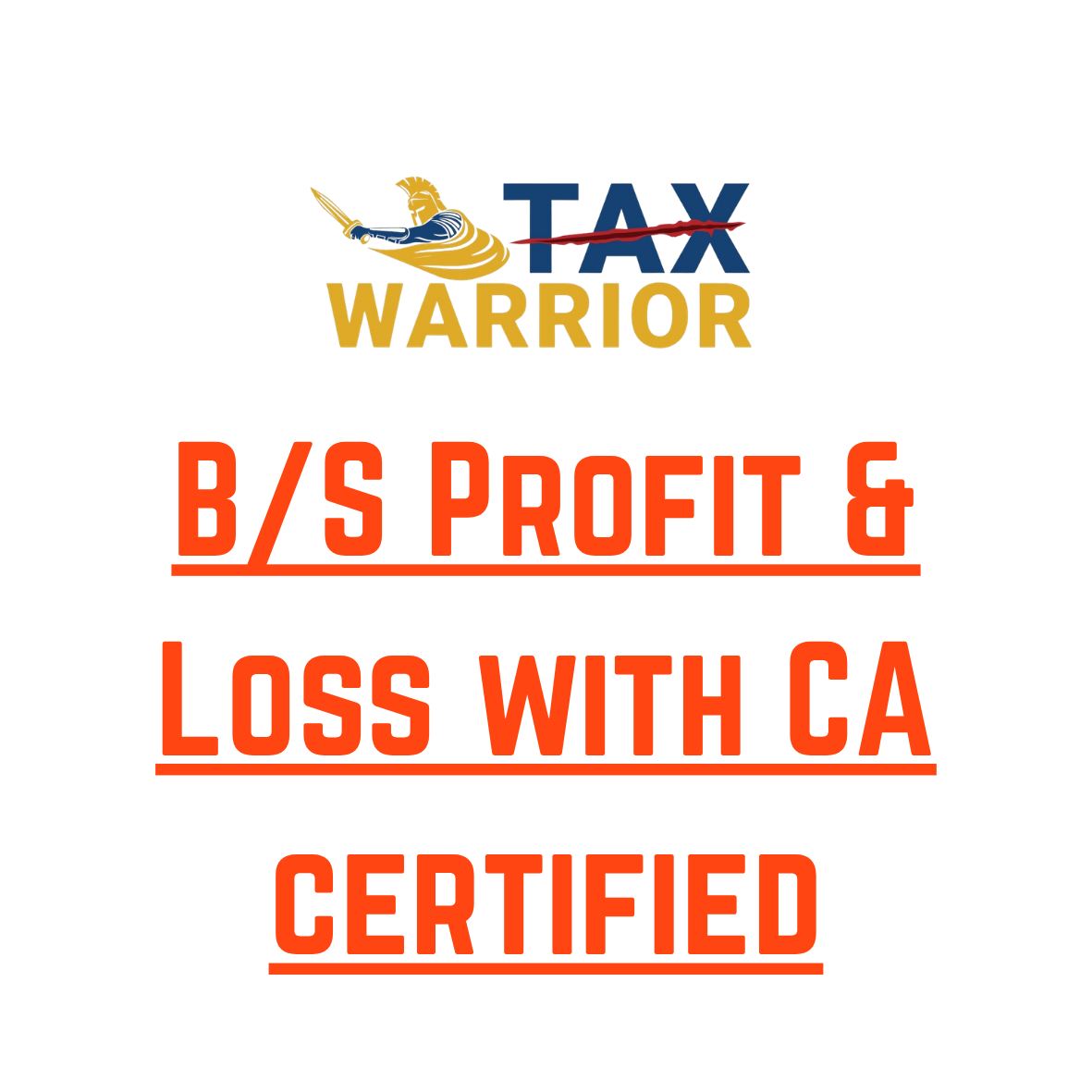 B/S Profit & Loss with CA certified